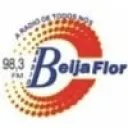 Rádio Beija Flor FM 98.3