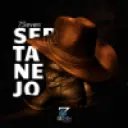 Rádio Rede Seven