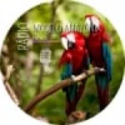 Rádio Modelo Amazônia News