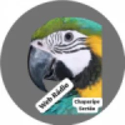 Logotipo da Web Radio Chaparipe Sertão